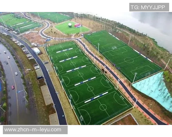 室内足球场费用解析与预算指南帮助你合理规划运动开支